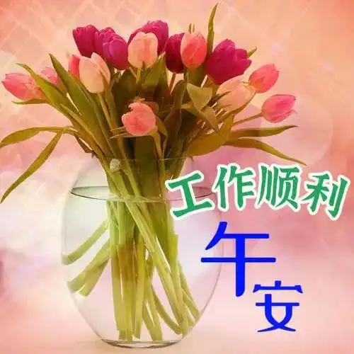 中午好图片大全,午安问候图片,午安祝福图片,愿您吉祥如意
