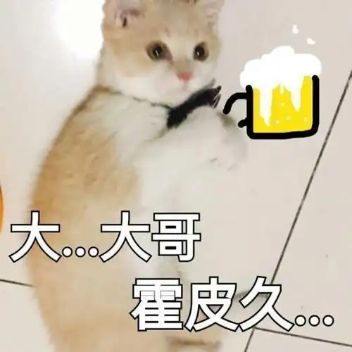 旅收藏夹
