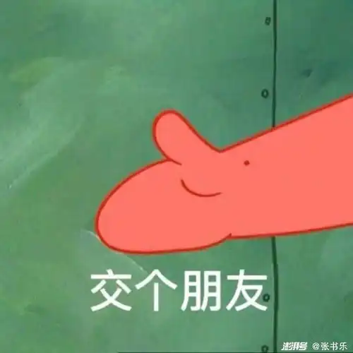 罗永浩没来,交个锤子朋友
