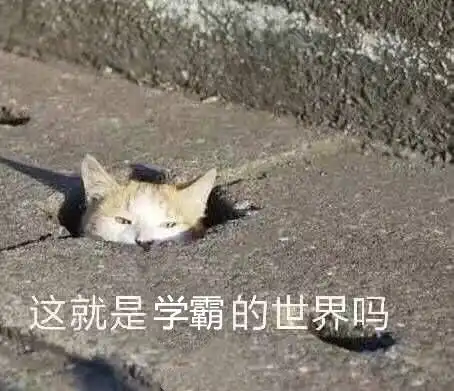 想要成为学霸记忆力才是关键
