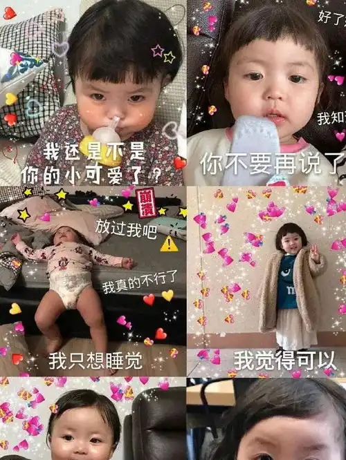 幽默图片搞笑段子整套表情包,个性可爱,抱走了
