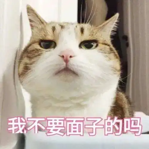 给狗子起名要慎重,不然尴尬的可是你
