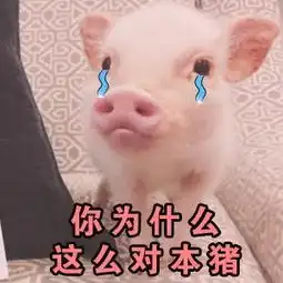 言言照片言言相册大全yy官方
