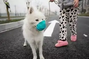 你有没有随身携带一个罩罩
