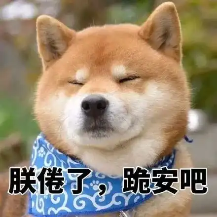 搞笑柴犬表情包,你说这话,你自己信
