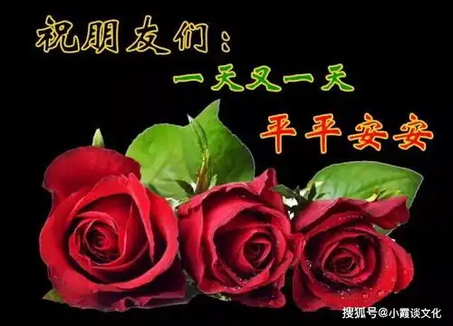 最美暖心的早安问候语,祝福所有的朋友们
