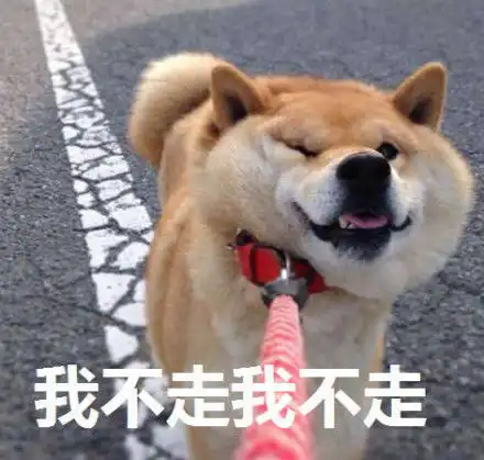 柴犬表情包全套柴犬doge表情包下载
