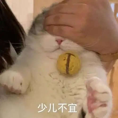 表情包你以后没有我这个宝贝了
