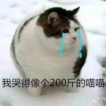 蛀牙我们忧伤的身体

