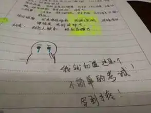 会玩南京一高校老师期末考试竟让学生画表情包答题

