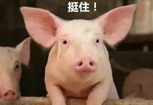疾病诊断,智者先行基于智能手机的猪病诊断系统,破解非瘟潜在的环境下,猪病治疗的难题养殖
