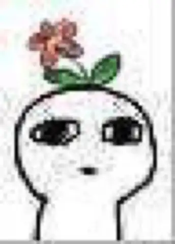 正当春花烂漫时,这里有金华最美花海
