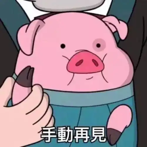 大年初一携100只猪猪和融媒体成员给大家拜年啦
