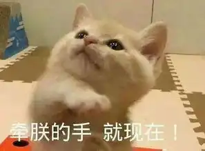 表情包多的同学,人缘总不会太差太准了
