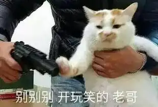 答应我不要当舔狗表情包大全
