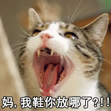真相了这就是过年放假在家的你,简直不能更形象
