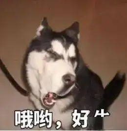 过年发红包啦绵阳人快来领,最高价值2021元附详细攻略
