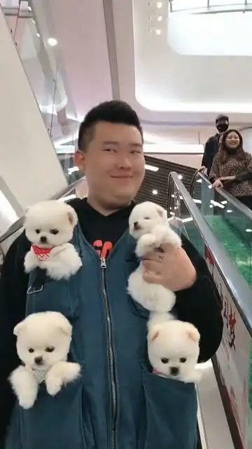 小哥哥的表情,看上去不像什么好人啊
