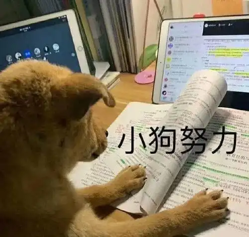 长嫂如母2闫释支线有什么不同吗
