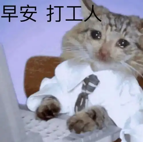 猫猫都被迫营业,火遍全网的打工语录把我笑傻了
