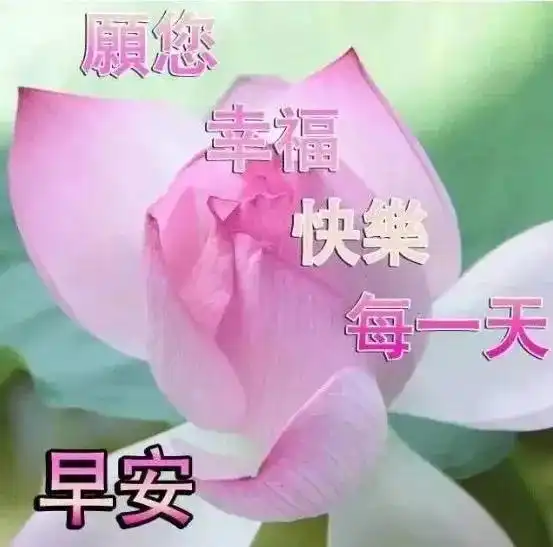 非常漂亮早安问候语动态图片,微信早上好问候句子精选
