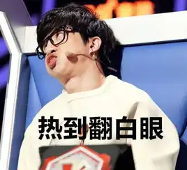暑假好嗨皮,有了中国新声代4一秒一个表情包
