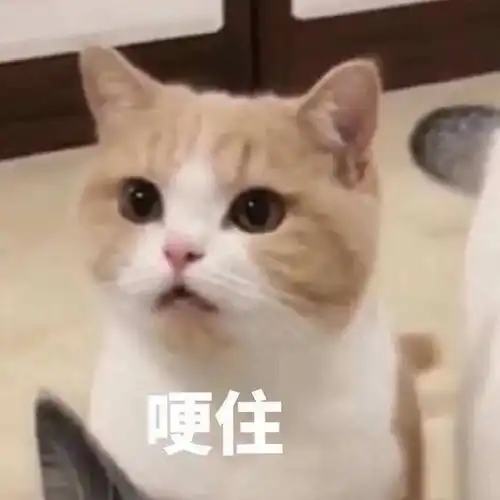 毫无惊喜的一个离婚瓜,他俩终究还是装不下去了

