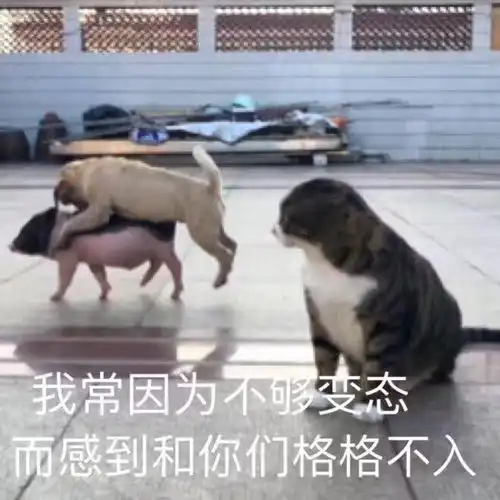 h收藏夹
