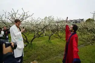 穿汉服赏槜李花品槜李酒外国友人在这里玩嗨了
