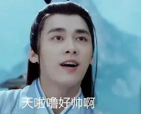 搞笑的青云志李易峰表情包
