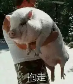 真的有用35高温天,全身捂严睡桥面,女子我在给身体除湿睡前嘿嘿嘿
