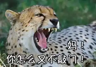 本周问题春天,什么野菜最好吃
