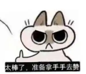 还有不认识这只挖煤猫表情包的冲浪老哥吗

