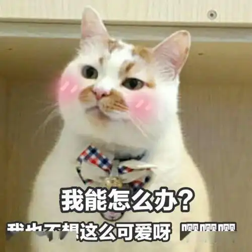 长得可爱就是麻烦丨第312期喵表情包
