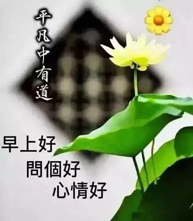 二月心语
