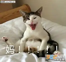 帮你呼叫妈妈表情包合集当你妈微信经常不理你时你可以发这些表情包下载乐游网游戏下载
