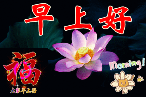 周二天冷早安问候祝福语短信大全,星期二微信早上好问候表情图片
