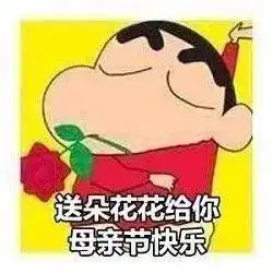 我爱你妈妈,不止今天
