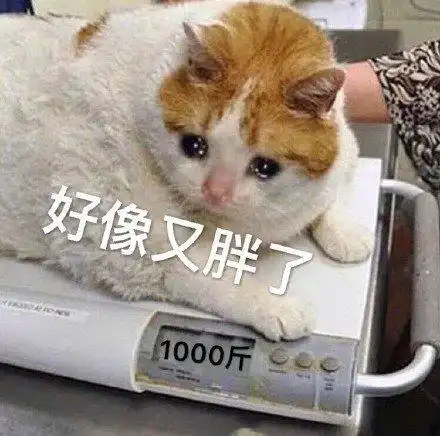 表情包再也不和你天下第一好了
