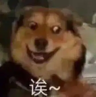 沙雕表情小老弟你有点皮
