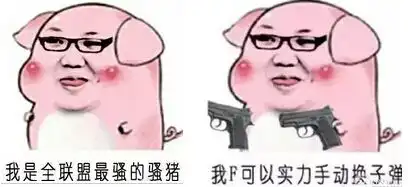 你这个骚猪表情包
