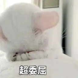 委屈的表情包合集
