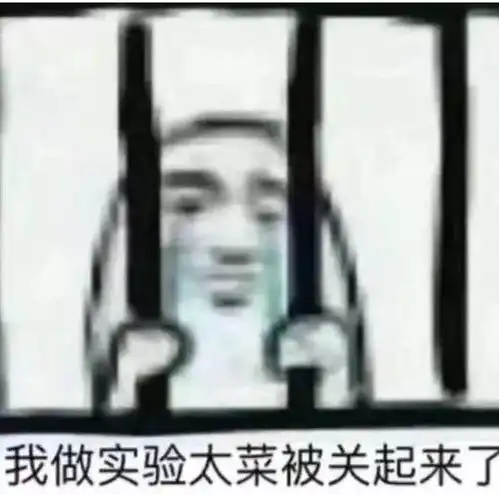 确认过表情包,是同一个专业的人
