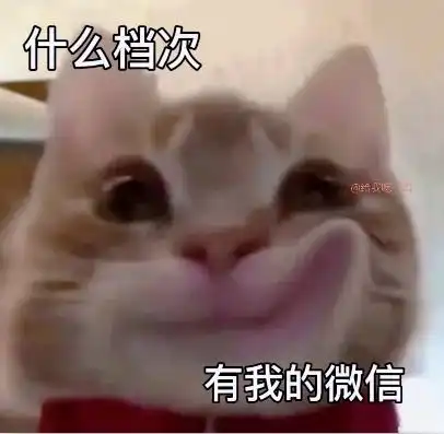 新的歪嘴小猫表情包又来了,这次的更可爱
