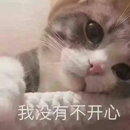 表情包小猫小狗的表情包
