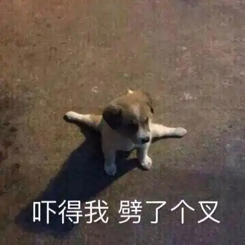 个性搞怪头像

