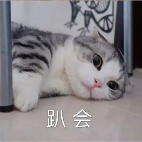 表情精选又是难过的一天
