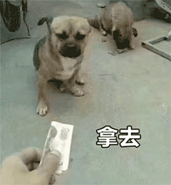 最近很火的借我20元表情包派大星借钱图片表情
