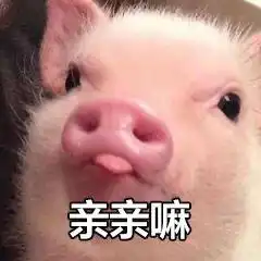 情侣互动必备表情包你的小可爱已上线,收到了我的爱心了吗
