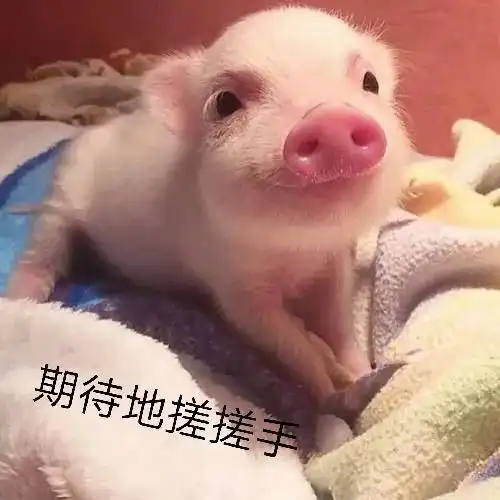 永不弃疗我的时间去哪了

